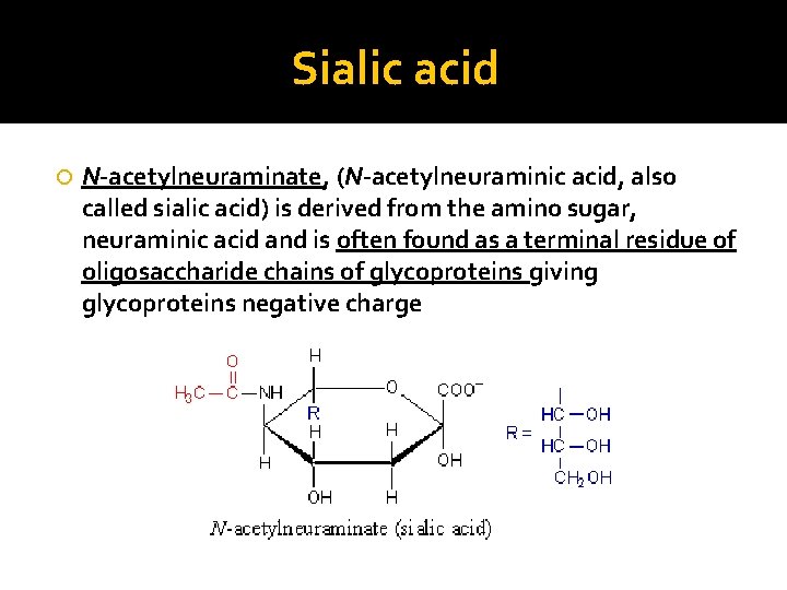 Sialic acid N-acetylneuraminate, (N-acetylneuraminic acid, also called sialic acid) is derived from the amino