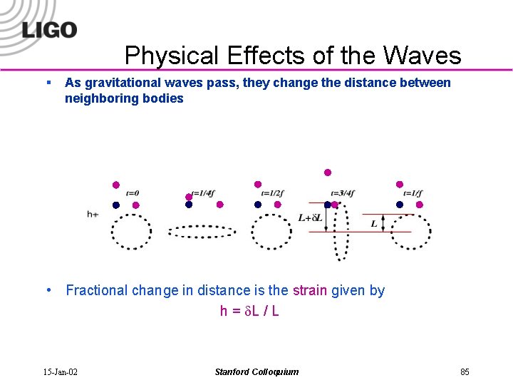 Physical Effects of the Waves § As gravitational waves pass, they change the distance