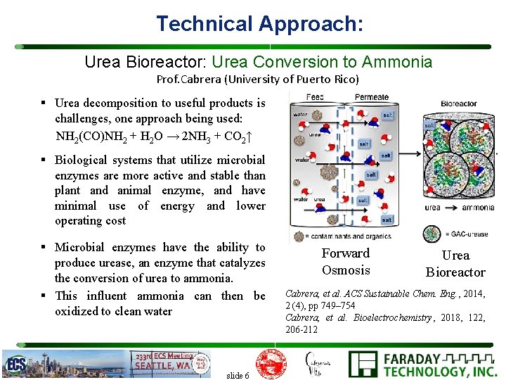Technical Approach: Urea Bioreactor: Urea Conversion to Ammonia Prof. Cabrera (University of Puerto Rico)