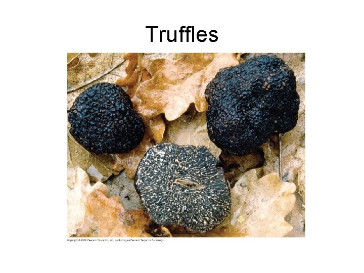 Truffles 