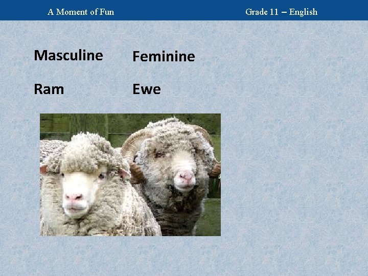 Grade 11 – English A Moment of Fun Masculine Feminine Ram Ewe 