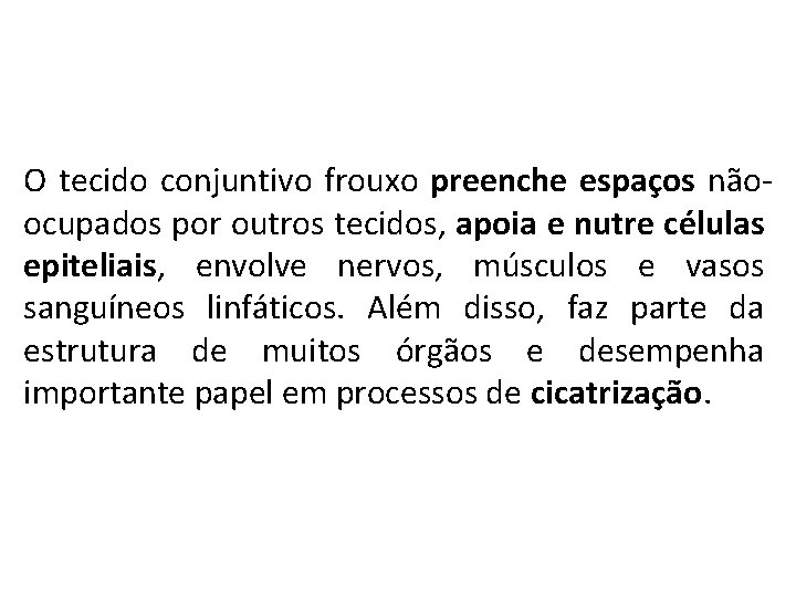 O tecido conjuntivo frouxo preenche espaços nãoocupados por outros tecidos, apoia e nutre células