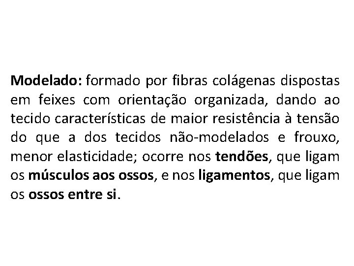 Modelado: formado por fibras colágenas dispostas em feixes com orientação organizada, dando ao tecido