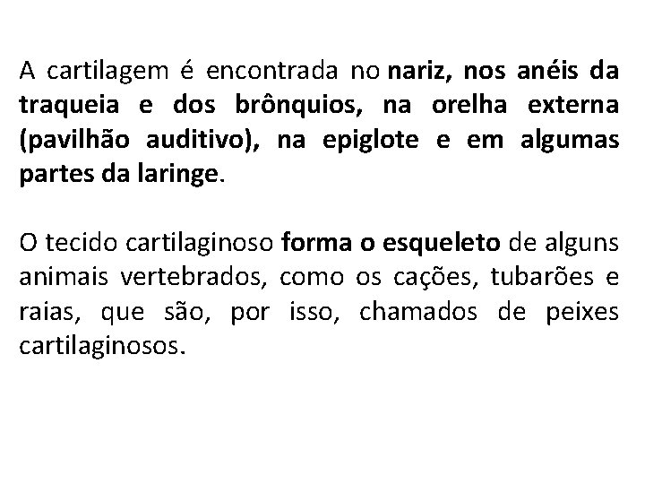 A cartilagem é encontrada no nariz, nos anéis da traqueia e dos brônquios, na