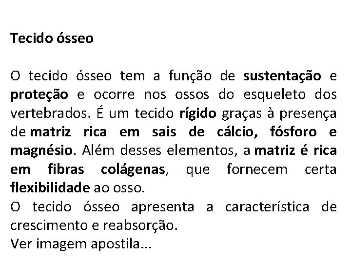 Tecido ósseo O tecido ósseo tem a função de sustentação e proteção e ocorre