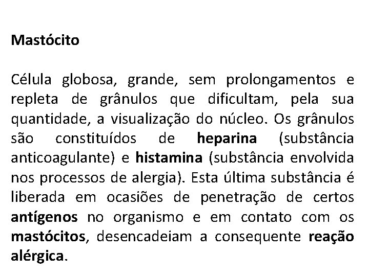 Mastócito Célula globosa, grande, sem prolongamentos e repleta de grânulos que dificultam, pela sua