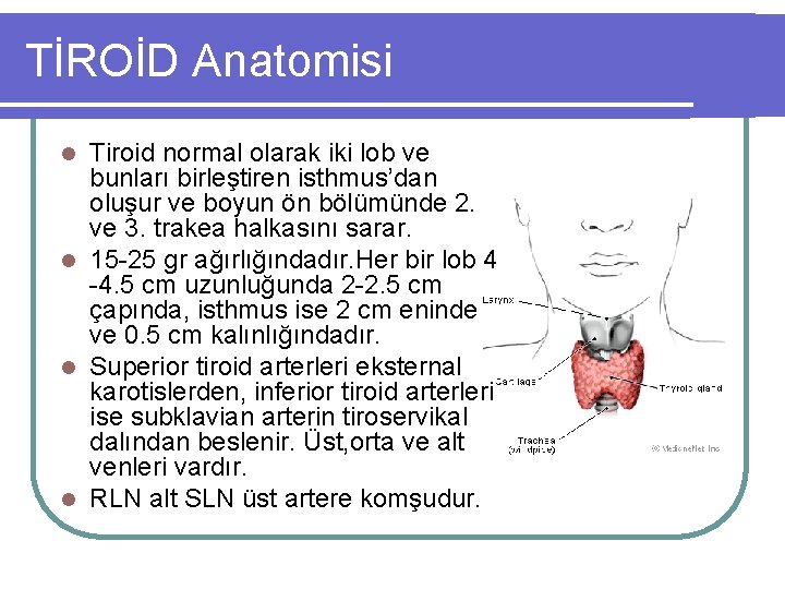 TİROİD Anatomisi Tiroid normal olarak iki lob ve bunları birleştiren isthmus’dan oluşur ve boyun