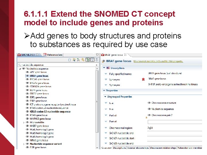 6. 1. 1. 1 Extend the SNOMED CT concept model to include genes and