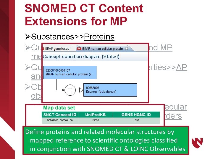 SNOMED CT Content Extensions for MP ØSubstances>>Proteins ØQualifiers>>Techniques>> AP and MP methods ØQualifiers>>Measurement Properties>>AP