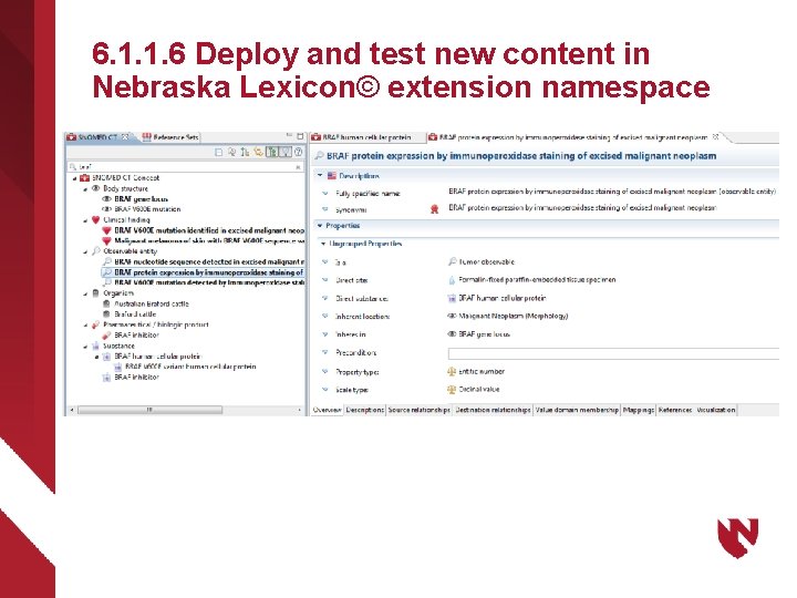6. 1. 1. 6 Deploy and test new content in Nebraska Lexicon© extension namespace