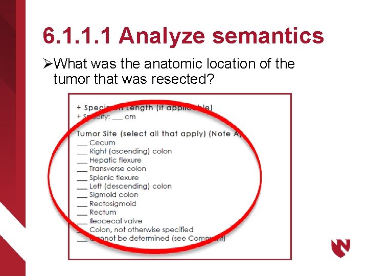 6. 1. 1. 1 Analyze semantics ØWhat was the anatomic location of the tumor