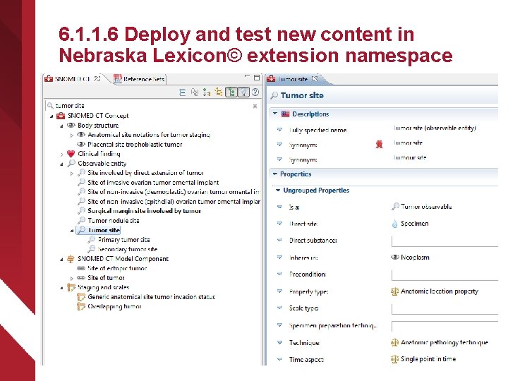 6. 1. 1. 6 Deploy and test new content in Nebraska Lexicon© extension namespace