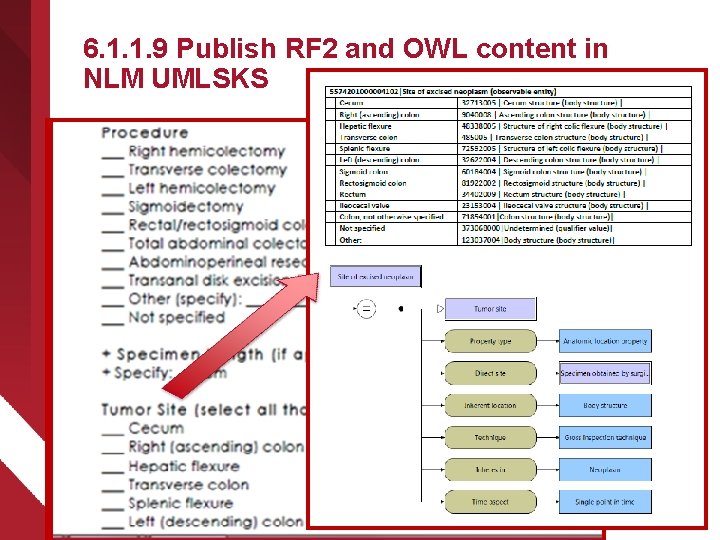 6. 1. 1. 9 Publish RF 2 and OWL content in NLM UMLSKS 