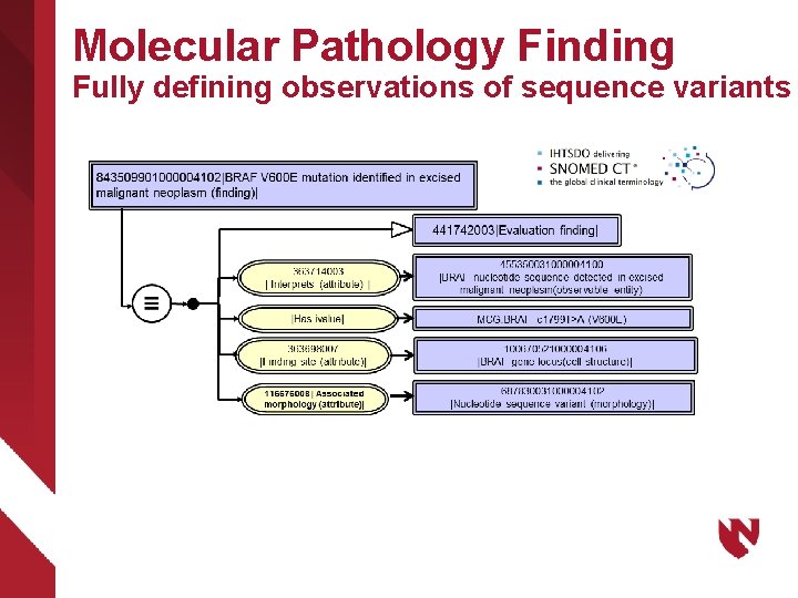 Molecular Pathology Finding Fully defining observations of sequence variants 