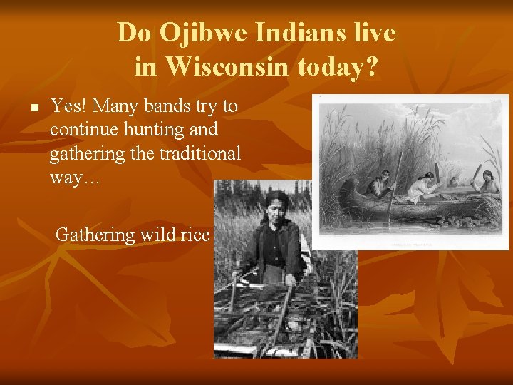 Do Ojibwe Indians live in Wisconsin today? n Yes! Many bands try to continue