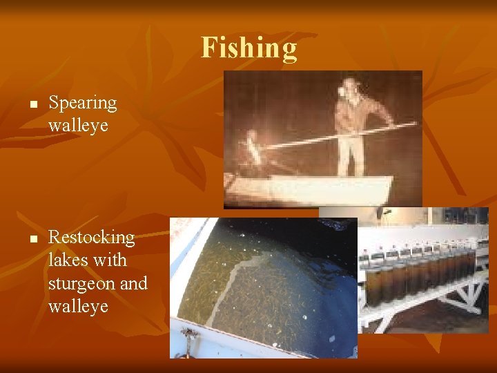 Fishing n n Spearing walleye Restocking lakes with sturgeon and walleye 