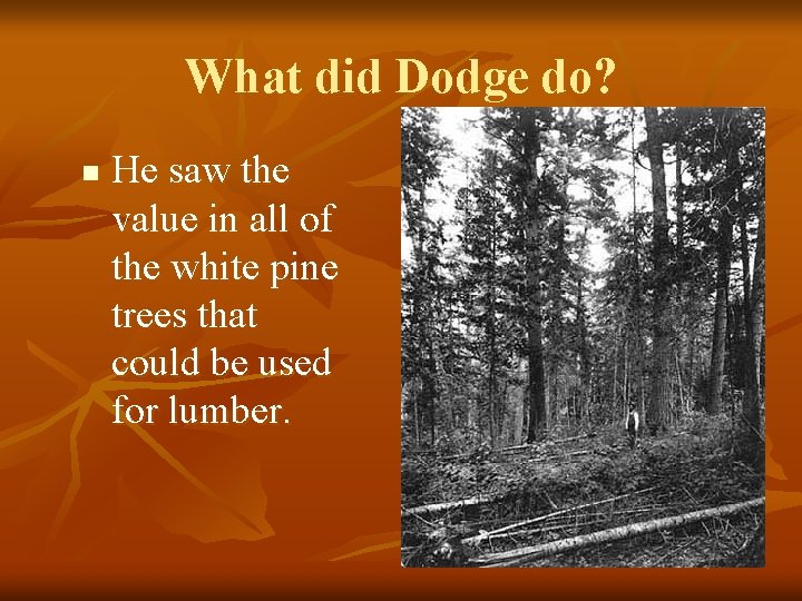 What did Dodge do? n He saw the value in all of the white