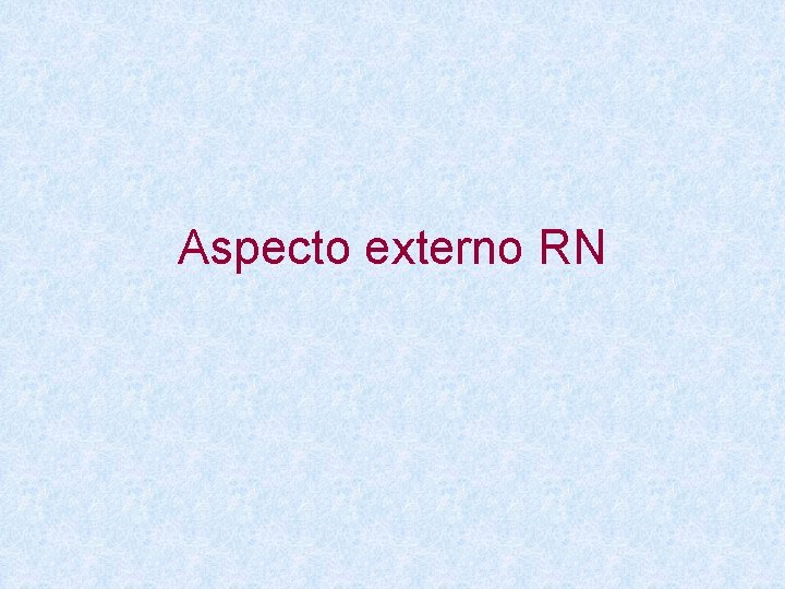 Aspecto externo RN 