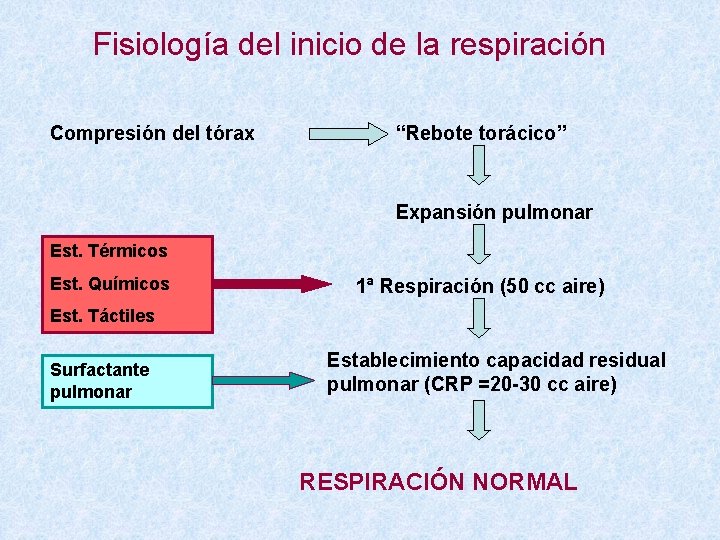 Fisiología del inicio de la respiración Compresión del tórax “Rebote torácico” Expansión pulmonar Est.