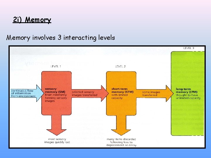 2 i) Memory involves 3 interacting levels 