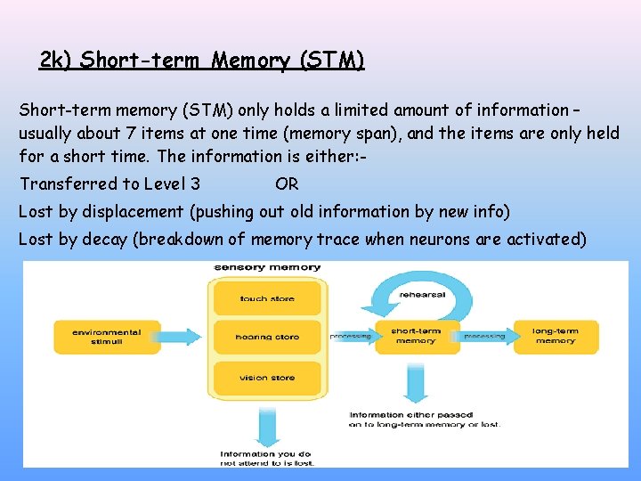 2 k) Short-term Memory (STM) Short-term memory (STM) only holds a limited amount of