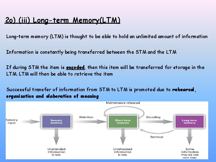 2 o) (iii) Long-term Memory(LTM) Long-term memory (LTM) is thought to be able to