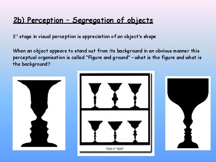 2 b) Perception – Segregation of objects 1 st stage in visual perception is