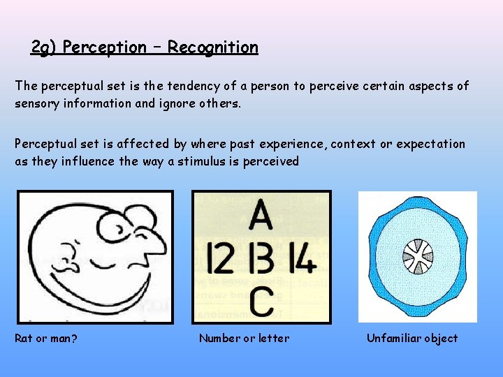 2 g) Perception – Recognition The perceptual set is the tendency of a person