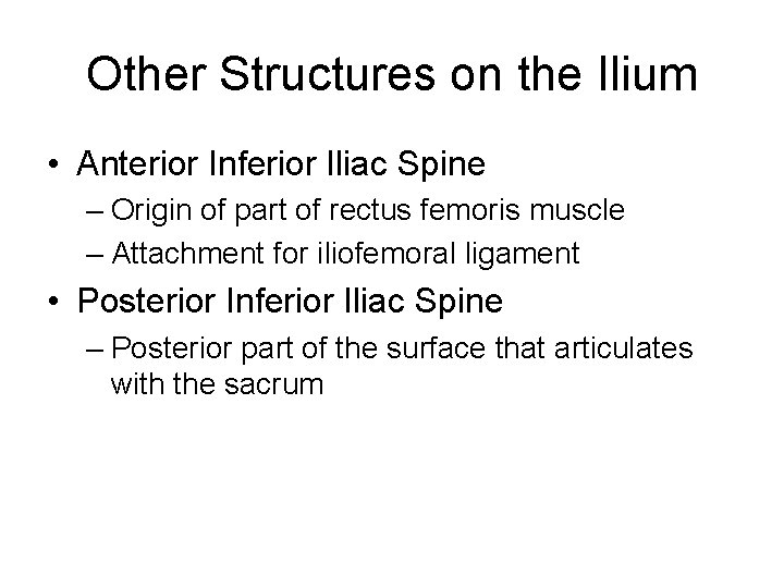 Other Structures on the Ilium • Anterior Inferior Iliac Spine – Origin of part