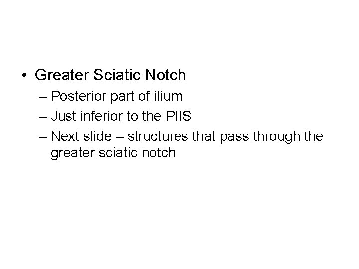  • Greater Sciatic Notch – Posterior part of ilium – Just inferior to