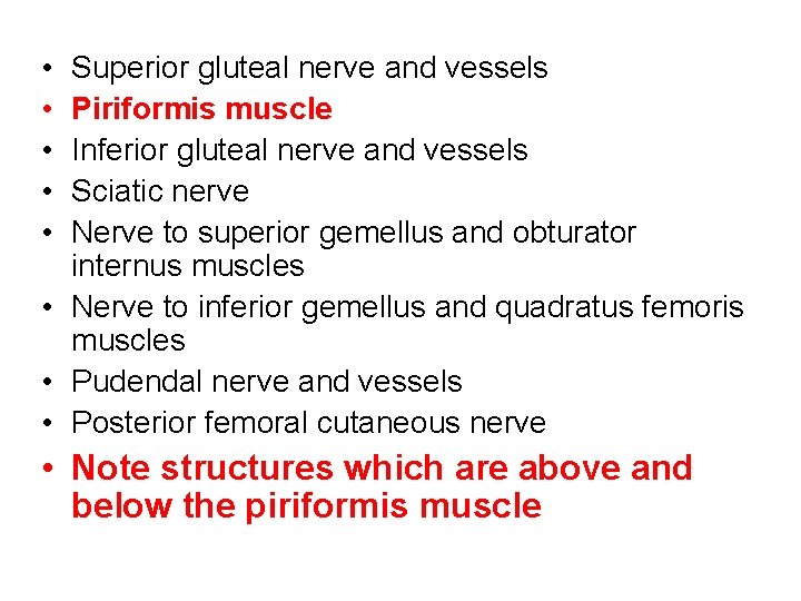  • • • Superior gluteal nerve and vessels Piriformis muscle Inferior gluteal nerve