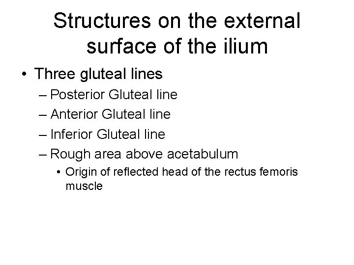 Structures on the external surface of the ilium • Three gluteal lines – Posterior