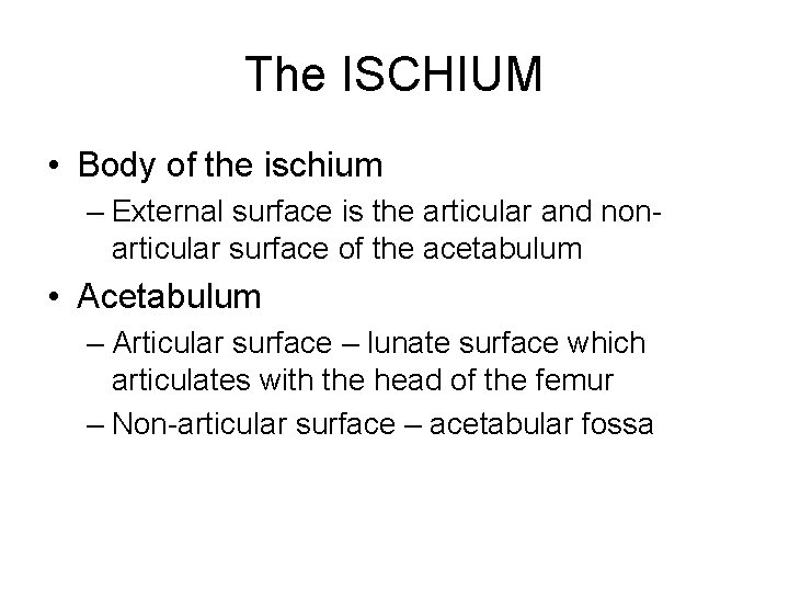 The ISCHIUM • Body of the ischium – External surface is the articular and