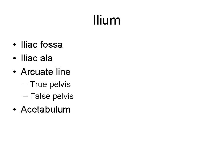 Ilium • Iliac fossa • Iliac ala • Arcuate line – True pelvis –