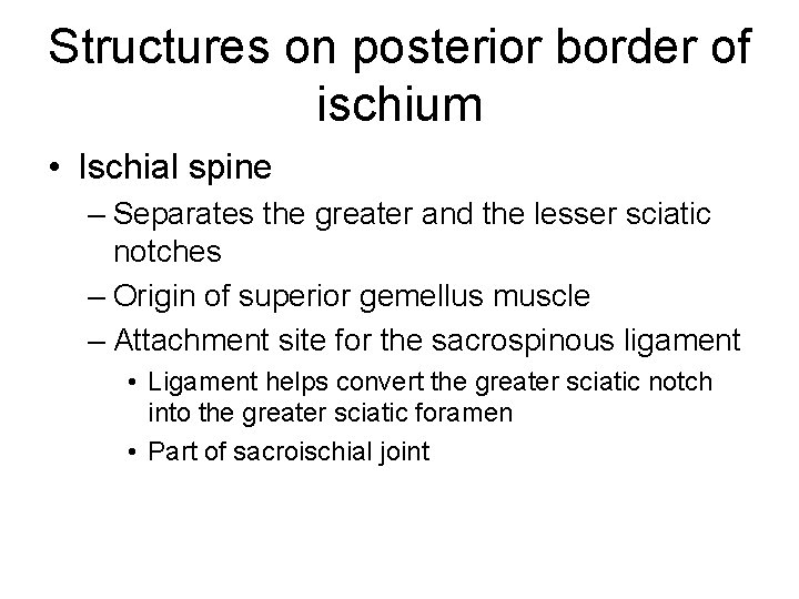 Structures on posterior border of ischium • Ischial spine – Separates the greater and
