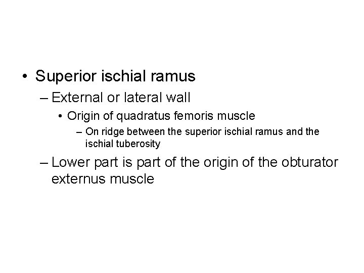  • Superior ischial ramus – External or lateral wall • Origin of quadratus