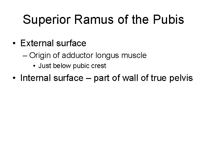 Superior Ramus of the Pubis • External surface – Origin of adductor longus muscle