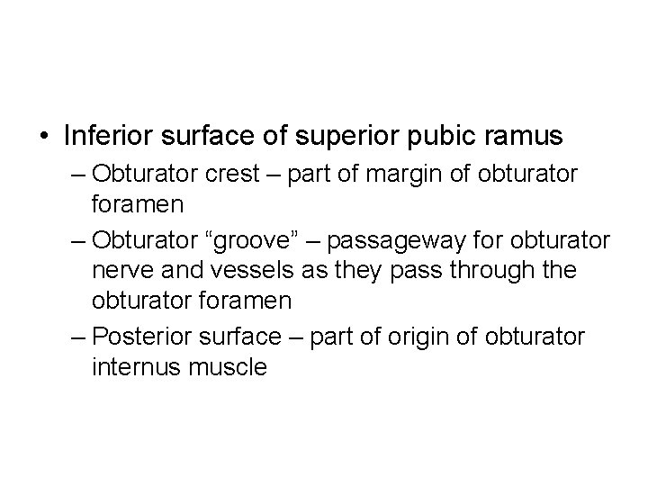  • Inferior surface of superior pubic ramus – Obturator crest – part of