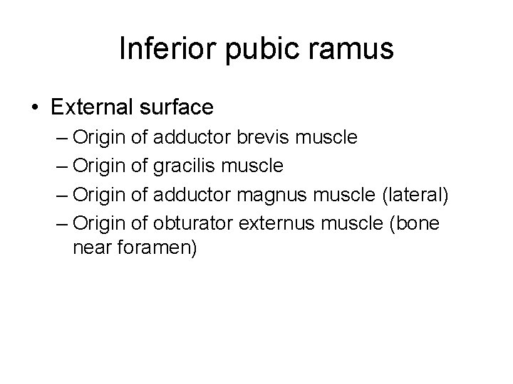 Inferior pubic ramus • External surface – Origin of adductor brevis muscle – Origin