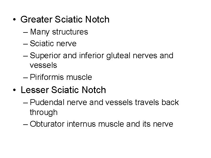  • Greater Sciatic Notch – Many structures – Sciatic nerve – Superior and