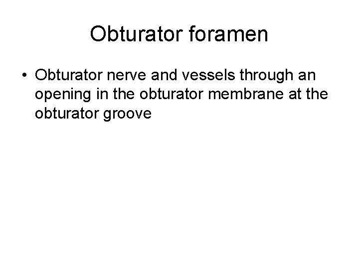 Obturator foramen • Obturator nerve and vessels through an opening in the obturator membrane