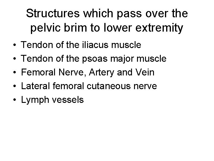 Structures which pass over the pelvic brim to lower extremity • • • Tendon