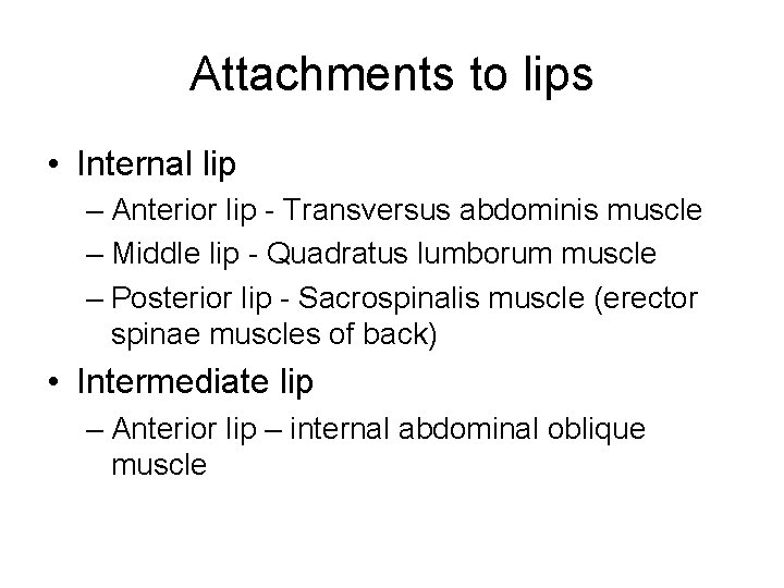 Attachments to lips • Internal lip – Anterior lip - Transversus abdominis muscle –