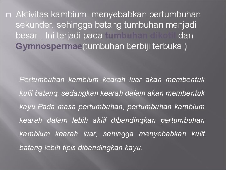  Aktivitas kambium menyebabkan pertumbuhan sekunder, sehingga batang tumbuhan menjadi besar. Ini terjadi pada