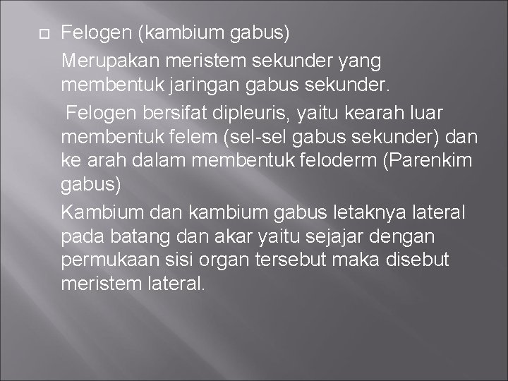 Felogen (kambium gabus) Merupakan meristem sekunder yang membentuk jaringan gabus sekunder. Felogen bersifat dipleuris,