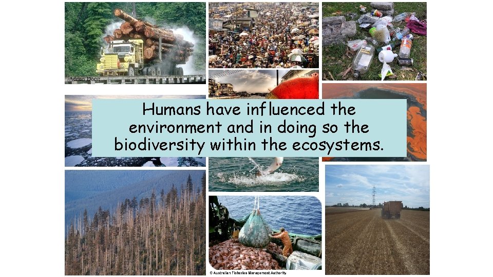 Humans have influenced the environment and in doing so the biodiversity within the ecosystems.