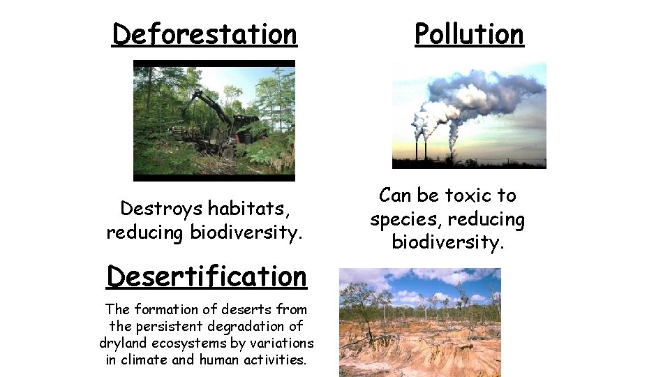 Deforestation Pollution Destroys habitats, reducing biodiversity. Can be toxic to species, reducing biodiversity. Desertification