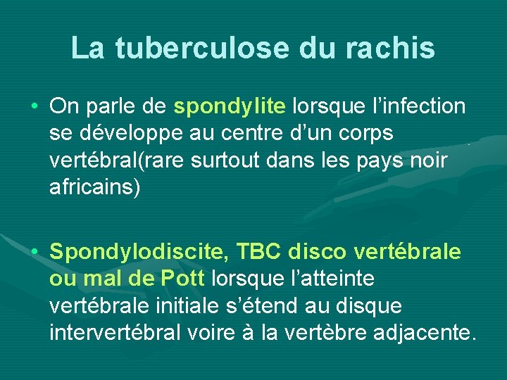 La tuberculose du rachis • On parle de spondylite lorsque l’infection se développe au