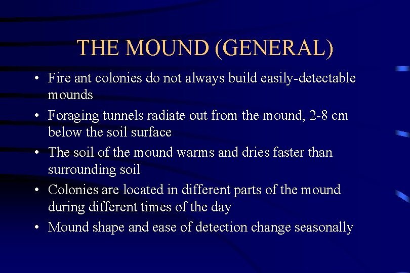 THE MOUND (GENERAL) • Fire ant colonies do not always build easily-detectable mounds •