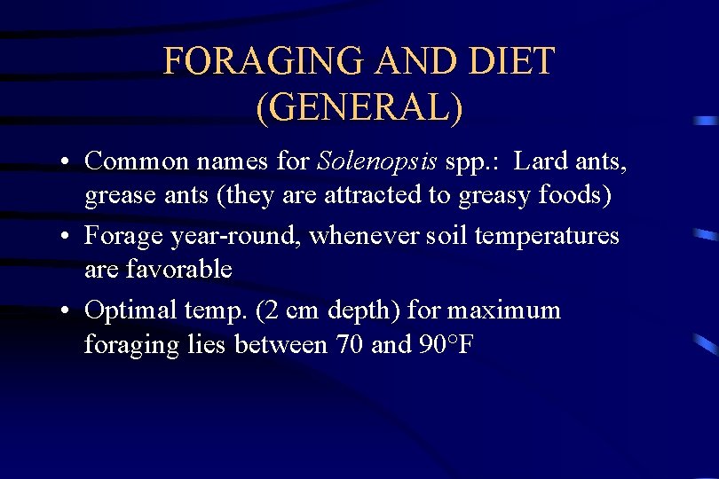 FORAGING AND DIET (GENERAL) • Common names for Solenopsis spp. : Lard ants, grease